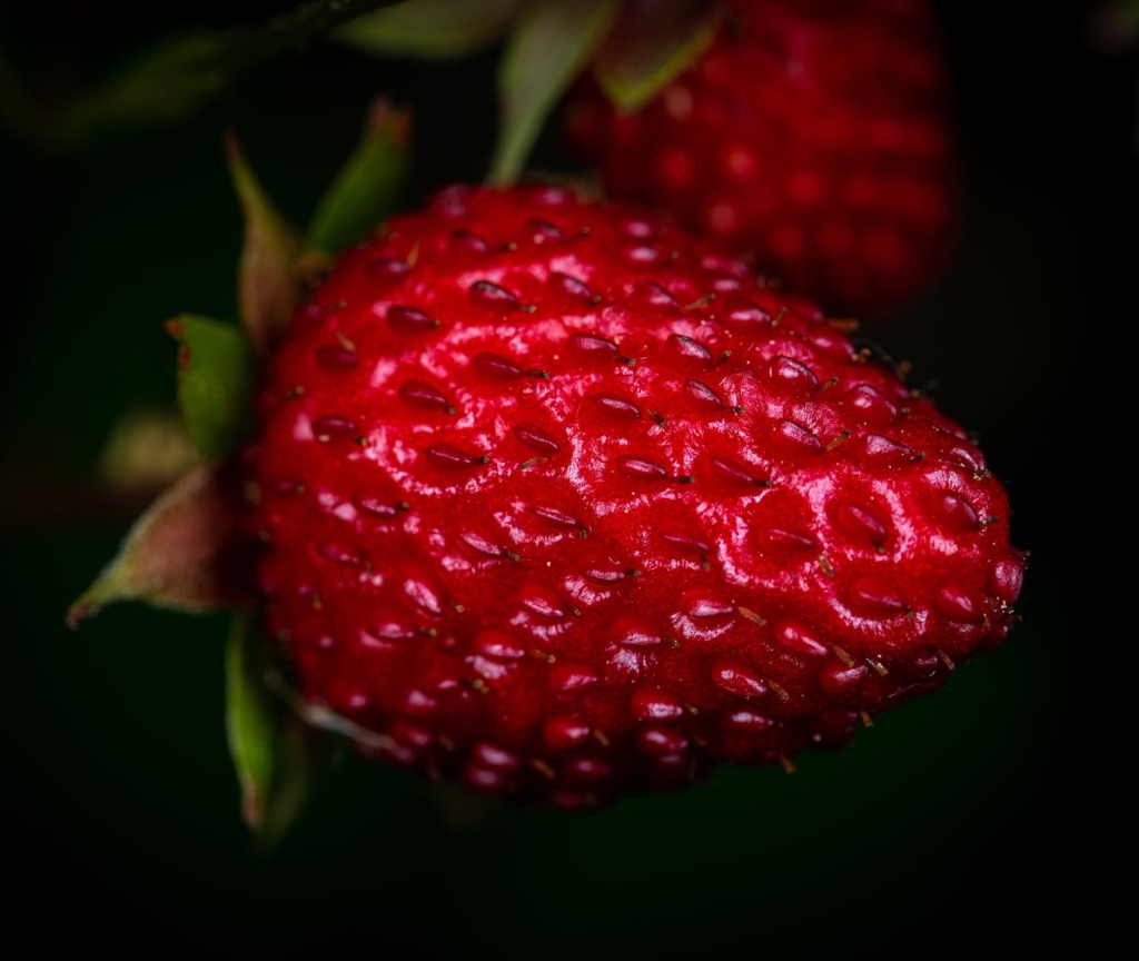 Red Strawberry, things that are red